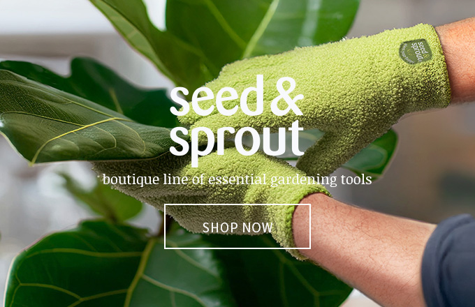 Seed & Sprout