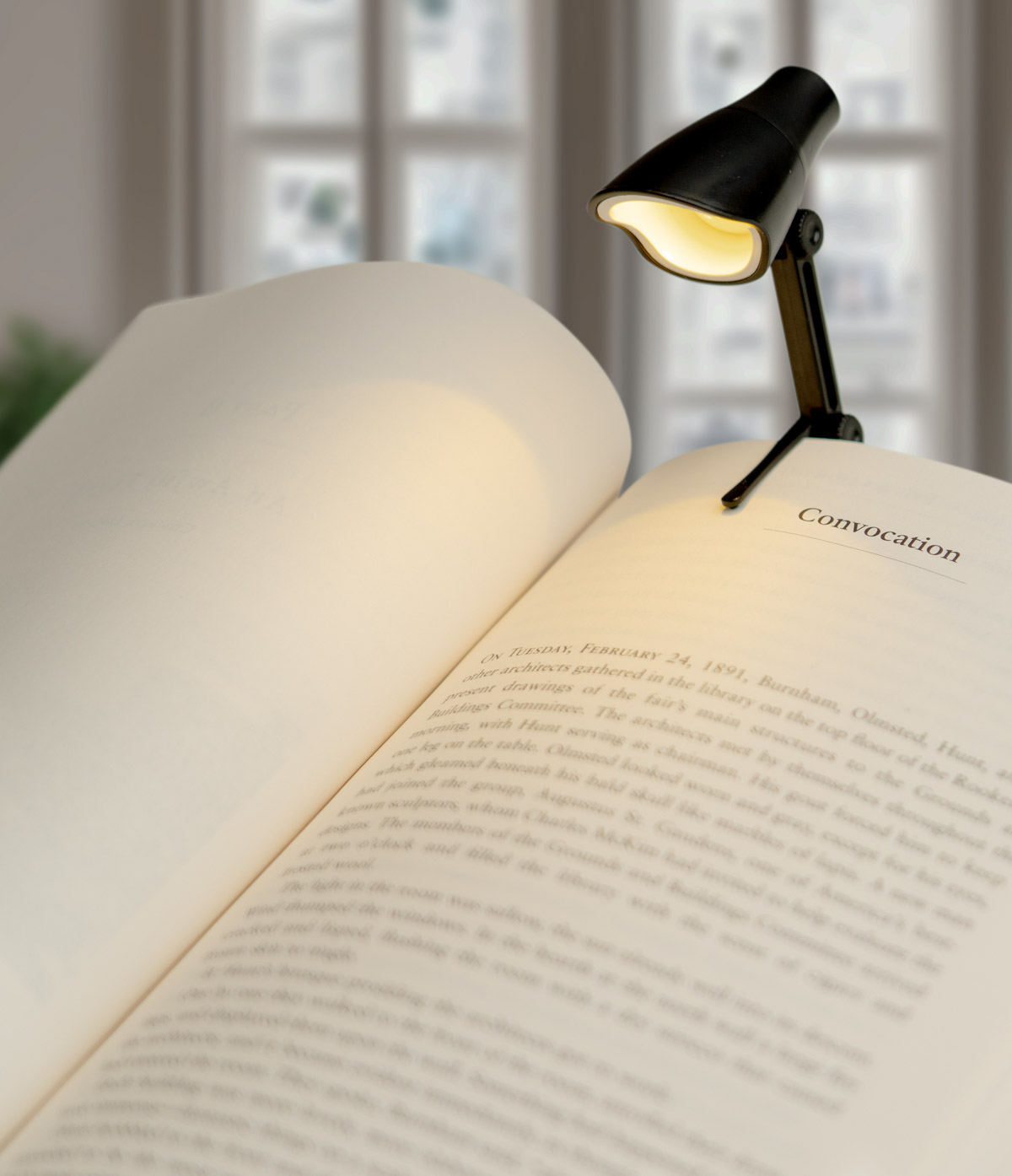 Modern Monkey Shady Business Task & Booklight Mini LED Lamp