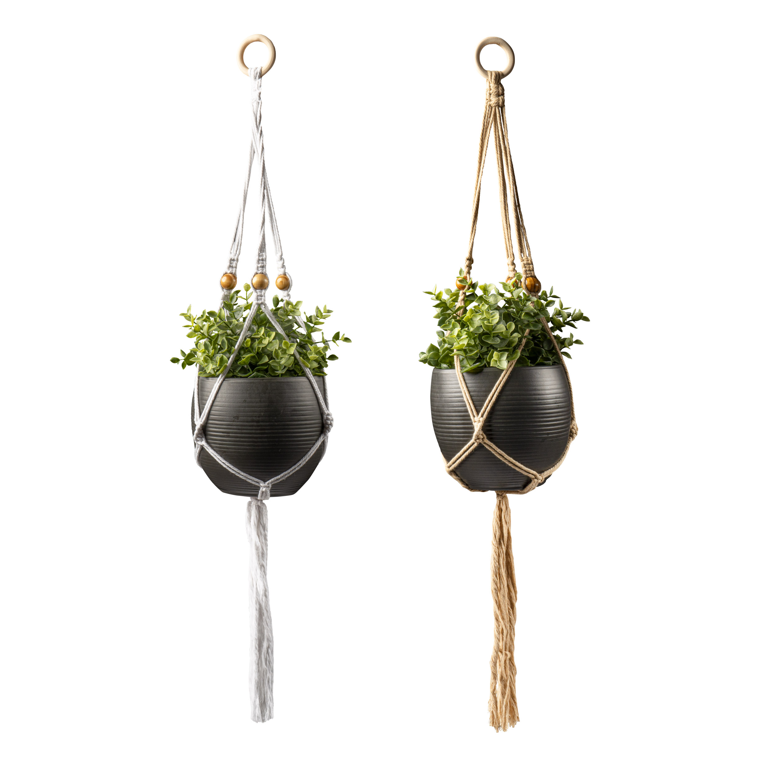 Seed & Sprout Let's Hang Macrame Plant Hanger