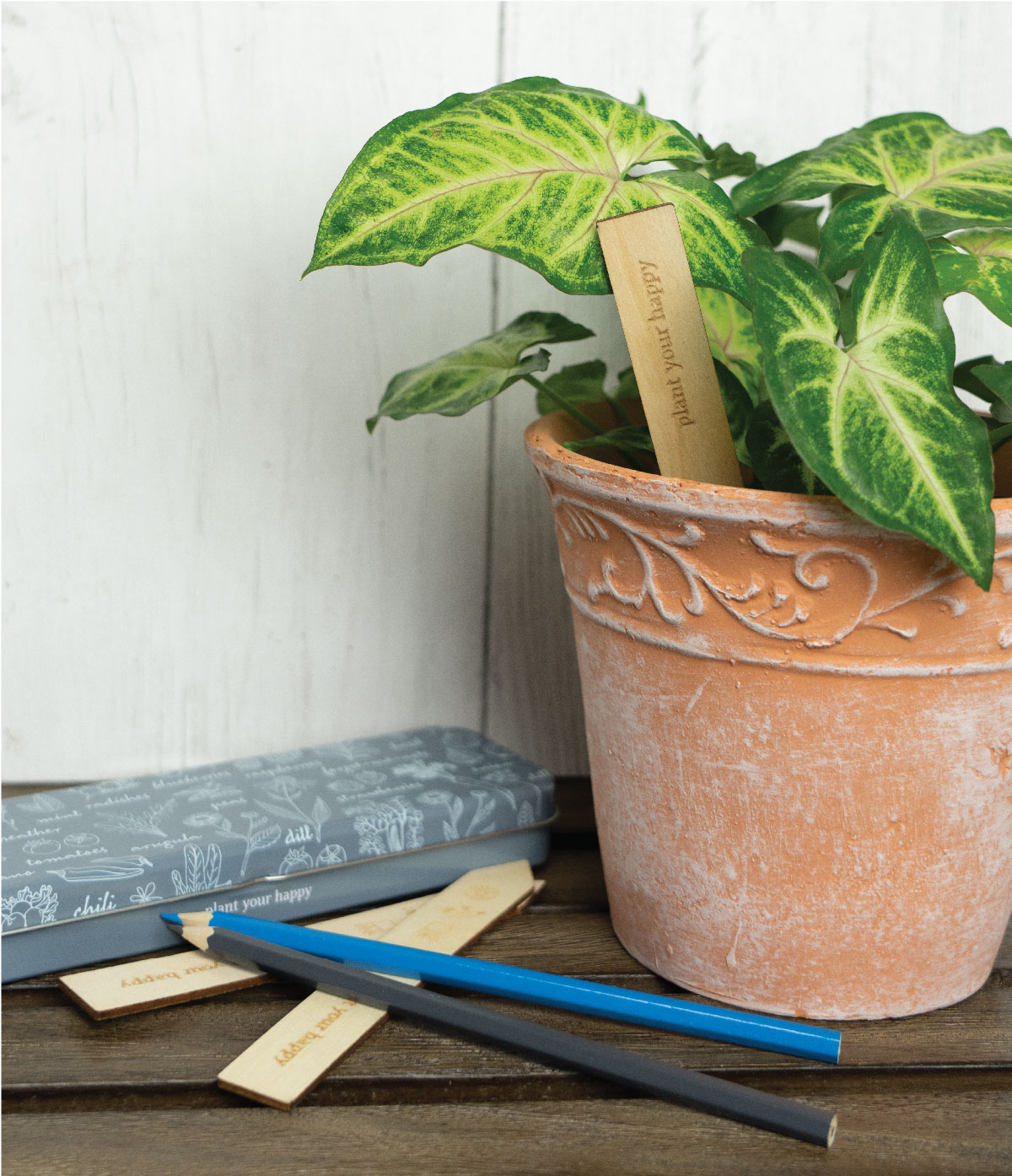 snslab24_01.jpg?width=600